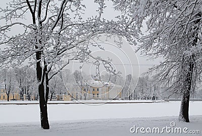 Winter park view, trees in snow Stock Photo