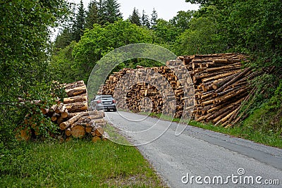 Car driving between tall stacks of timber by the road.. Editorial Stock Photo