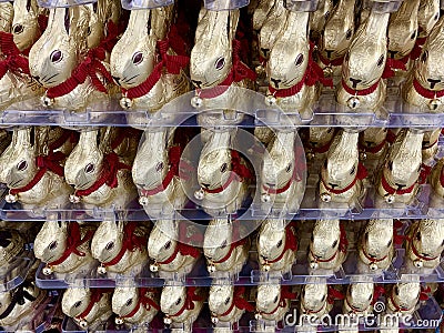 Lindt Easter Bunnies Editorial Stock Photo