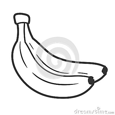 Beautiful bananas in cartoon style Vector Illustration