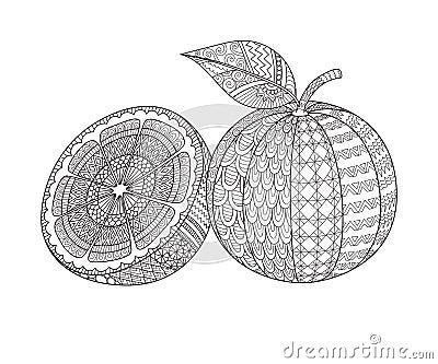 Line art design of sliced of orange and whole orange for printing on product, engraving, adult coloring book, coloring page and so Vector Illustration