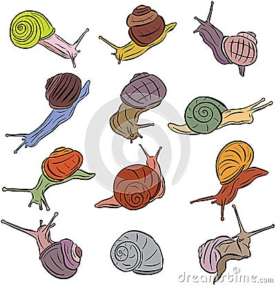 Line Art Illustration Snail Vectors Vector Illustration