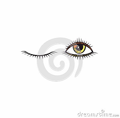 Eyes and eyelashes icon. Vector illustration.Open and close eye Vector Illustration