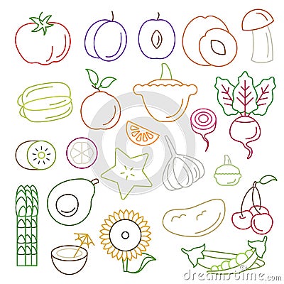 Line art vector graphical fancy food set of fruit and vegetable Vector Illustration