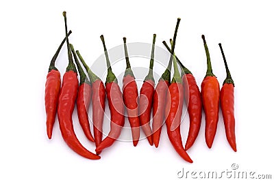 Line of birds eye chillies Stock Photo