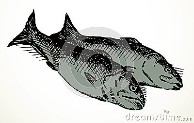 Vector fishes still life from the biblical story Vector Illustration