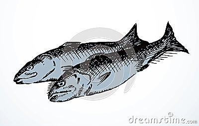 Vector fishes still life from the biblical story Vector Illustration