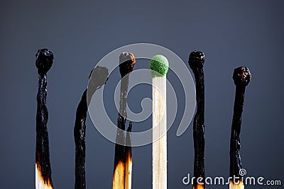 Line of burnt matches and one brand new. Individuality, leadership, burnout at work and energy Stock Photo