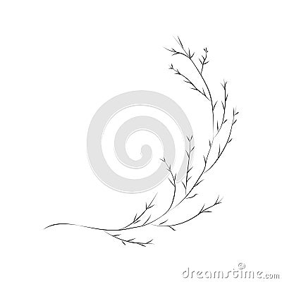 Line Drawing Botanical Wreath. Herbs and florals 02 Vector Illustration