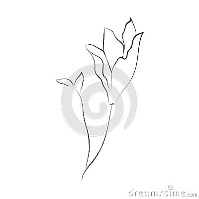 Line Drawing Botanical Wreath. Herbs and florals 05 Stock Photo