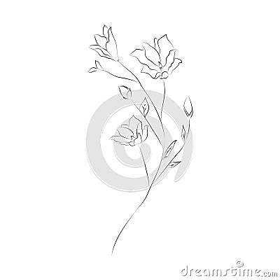 Line Drawing Botanical Wreath. Herbs and florals 06 Stock Photo