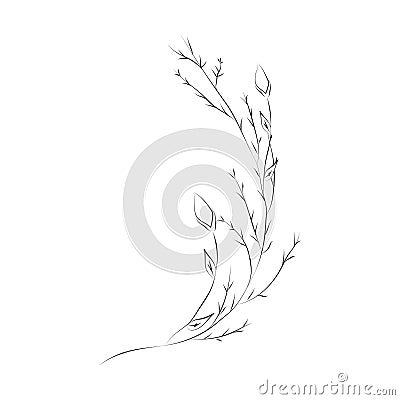 Line Drawing Botanical Wreath. Herbs and florals 10 Vector Illustration