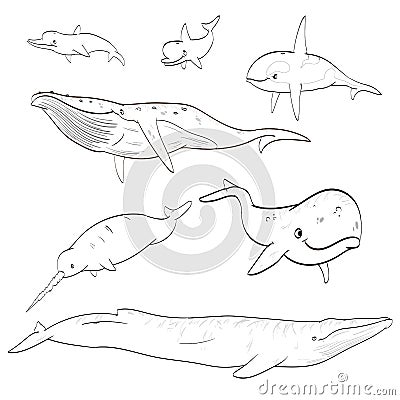 Line drawing cartoon whales collection Vector Illustration
