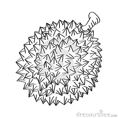 Line Drawing of Durian -Simple line Vector Vector Illustration