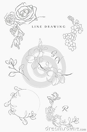 Line drawing vector floral wreaths frames branches Vector Illustration