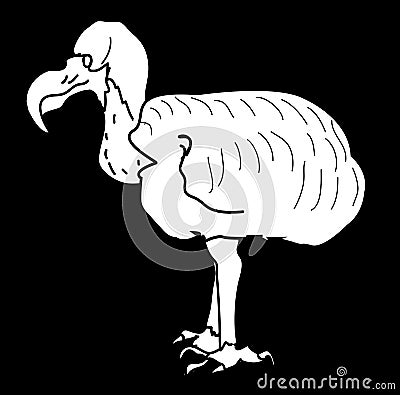 The Extinct Dodo Bird Vector Illustration