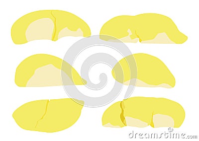 Colour yellow Durian fruit on white background Vector Illustration