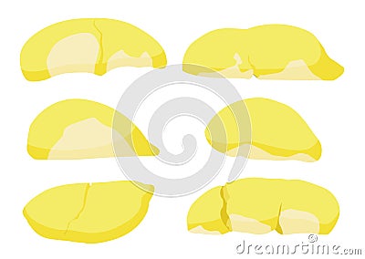 Durian fruit colour yellow and ripe durian piece Cartoon Illustration