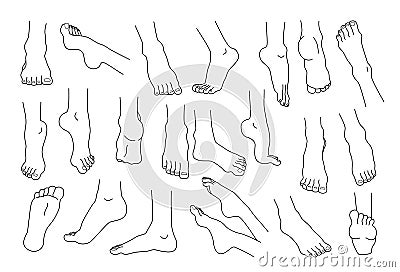 Line feet. Woman ankles and legs with heels and fingers. Beauty or medicine human body infographic elements. Spa skin Vector Illustration