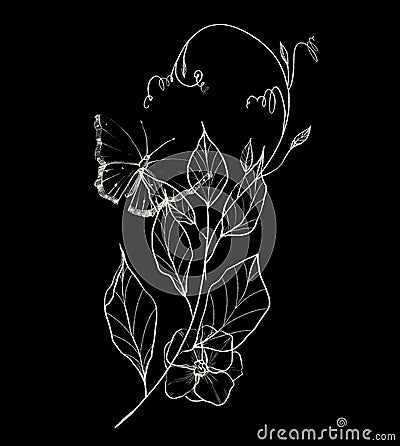 Line floral greenery arrangement. Graphic white contour branch, leaves, twigs and butterfly on black background. Stock Photo