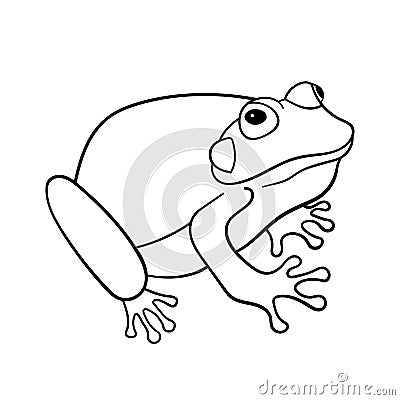 Line frog animal sitting. Outline vector illustration toad isolated on white. Image for coloring page Cartoon Illustration