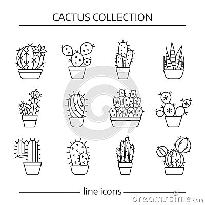 Line icons of cactus Vector Illustration