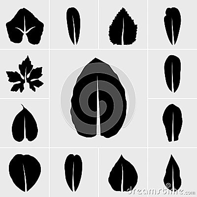 Line leaf icon Vector Illustration