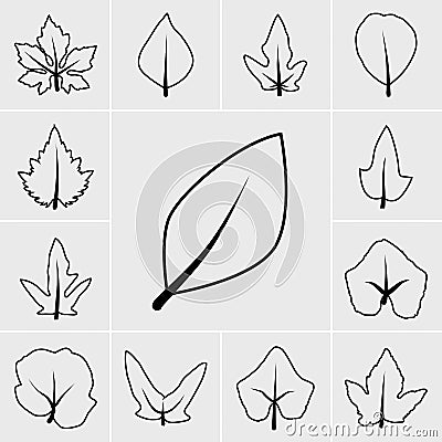 Line leaf icon Vector Illustration