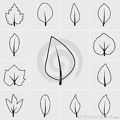 Line leaf icon vector Vector Illustration