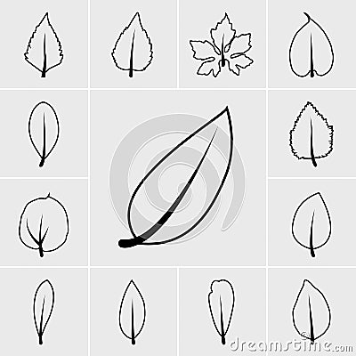 Line leaf icon vector Vector Illustration