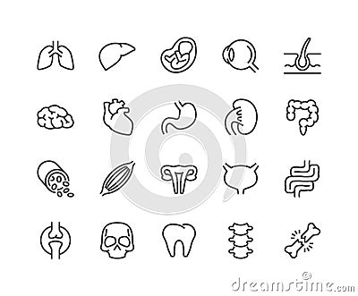 Line Organs Icons Vector Illustration