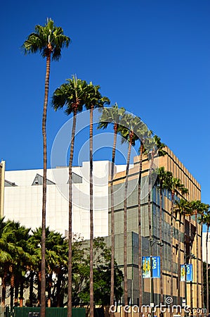 A line of palm trees grace Wilshire Boulevard Editorial Stock Photo