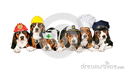 Line of puppies in work hats Stock Photo