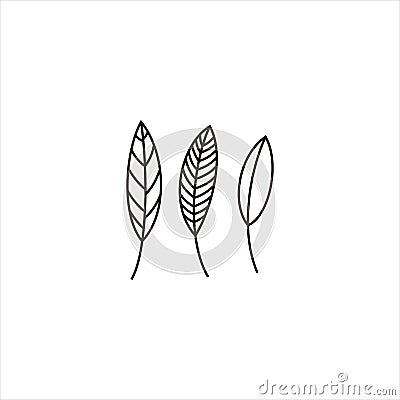 Set of leaves silhouettes in line style. Plants structure. Vector Illustration