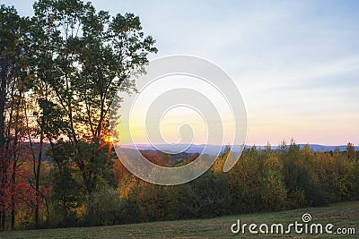 Line of Trees Atop a Hill Stock Photo