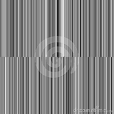 Line Variable Thickness Black and White Vertical Lines Background Vector Illustration