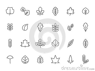 Linear autumn leaves. Leaf of autumn line set Vector Illustration