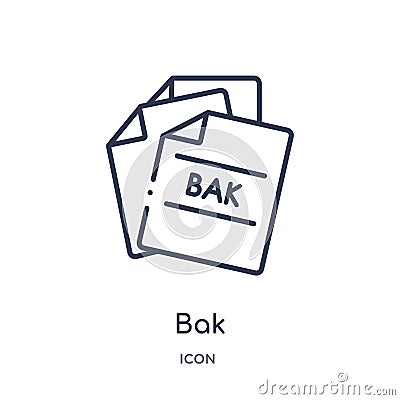 Linear bak icon from File type outline collection. Thin line bak vector isolated on white background. bak trendy illustration Vector Illustration