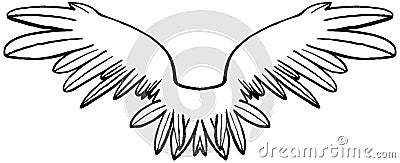 Linear black and white symmetrical wings. Stock Photo