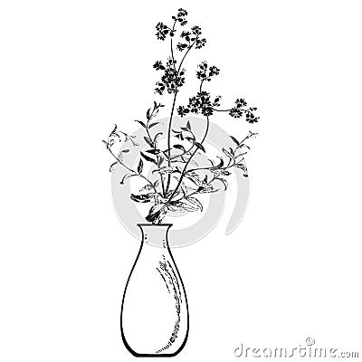 Linear bouquet wildflowers in vase, engraving sketch isolated on white background. Vector illustration, greeting cards, logo, Vector Illustration