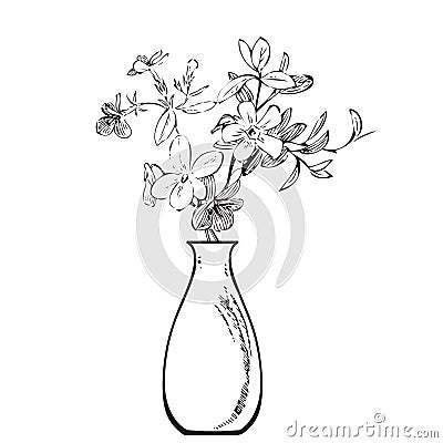 Linear bouquet wildflowers in vase, engraving sketch isolated on white background. Vector illustration, greeting cards, logo, Vector Illustration