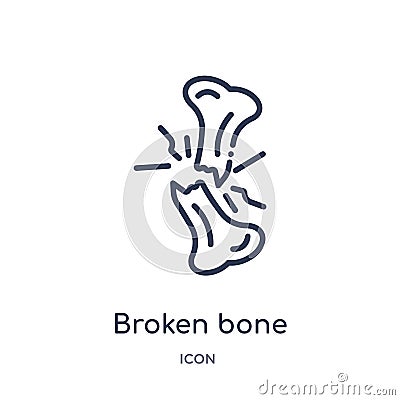 Linear broken bone icon from Human body parts outline collection. Thin line broken bone icon isolated on white background. broken Vector Illustration