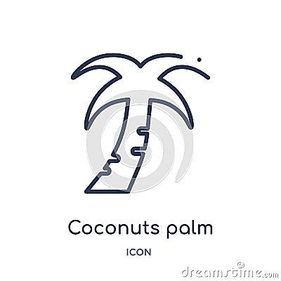 Linear coconuts palm tree of brazil icon from Culture outline collection. Thin line coconuts palm tree of brazil vector isolated Vector Illustration