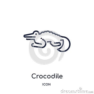 Linear crocodile icon from Animals outline collection. Thin line crocodile icon isolated on white background. crocodile trendy Vector Illustration