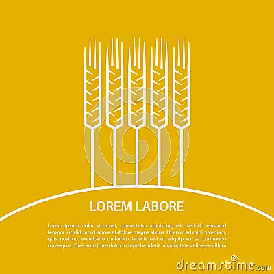 Linear ears of wheat. Abstract design for harvest time banner. Vector Illustration