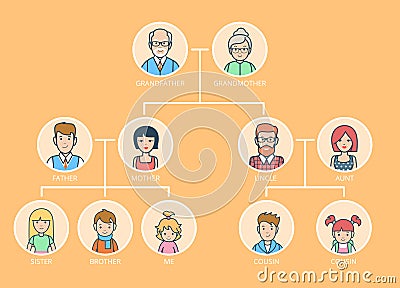 Linear Flat Genealogy. Family Tree parents, childr Vector Illustration