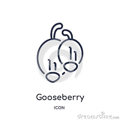 Linear gooseberry icon from Gastronomy outline collection. Thin line gooseberry icon isolated on white background. gooseberry Vector Illustration