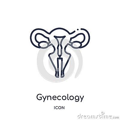 Linear gynecology icon from Health and medical outline collection. Thin line gynecology icon isolated on white background. Vector Illustration
