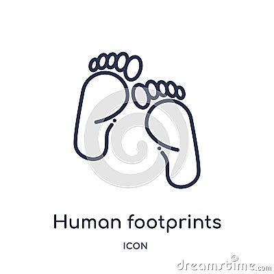 Linear human footprints icon from Human body parts outline collection. Thin line human footprints icon isolated on white Vector Illustration