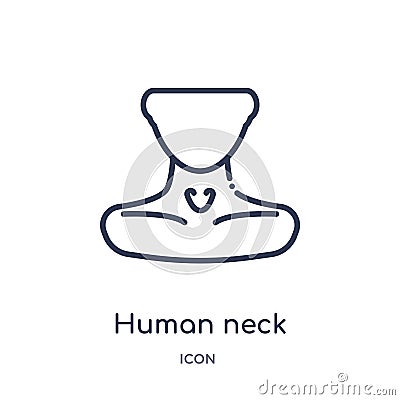 Linear human neck icon from Human body parts outline collection. Thin line human neck icon isolated on white background. human Vector Illustration